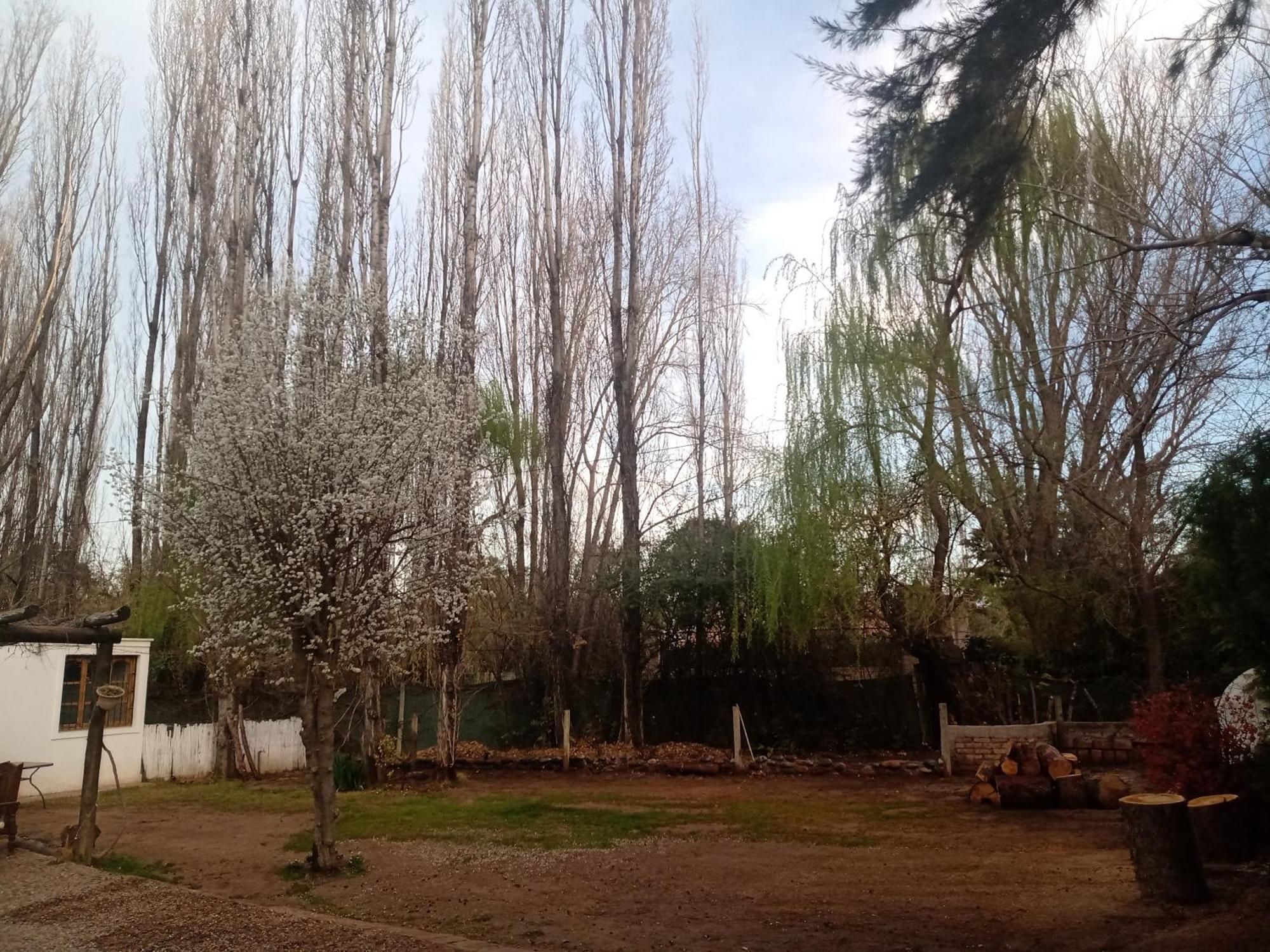 Bed and Breakfast Los Siete Chakras Lujan de Cuyo Exterior foto